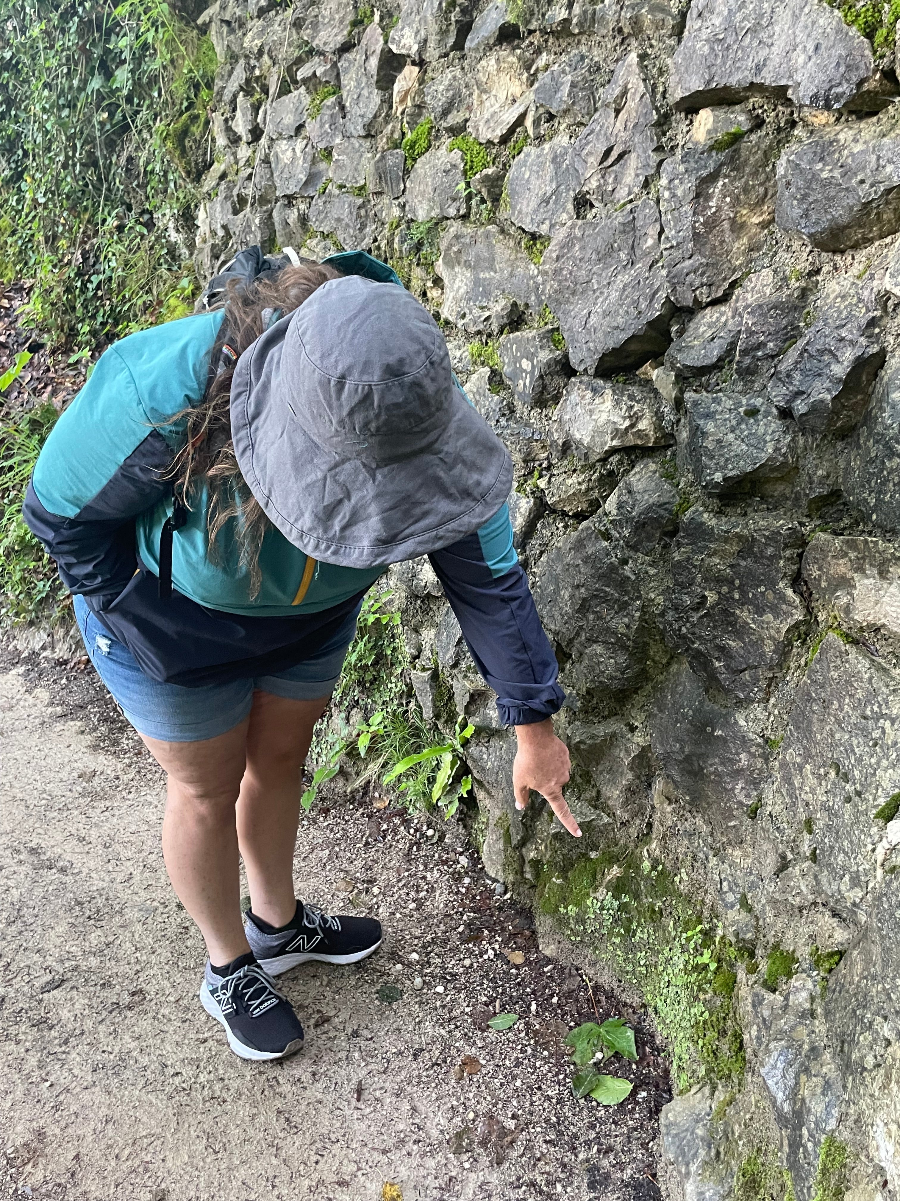 Plant Walk