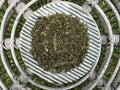 Stinging Nettle Leaf