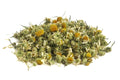 Chamomile- German (Matricaria chamomilla)