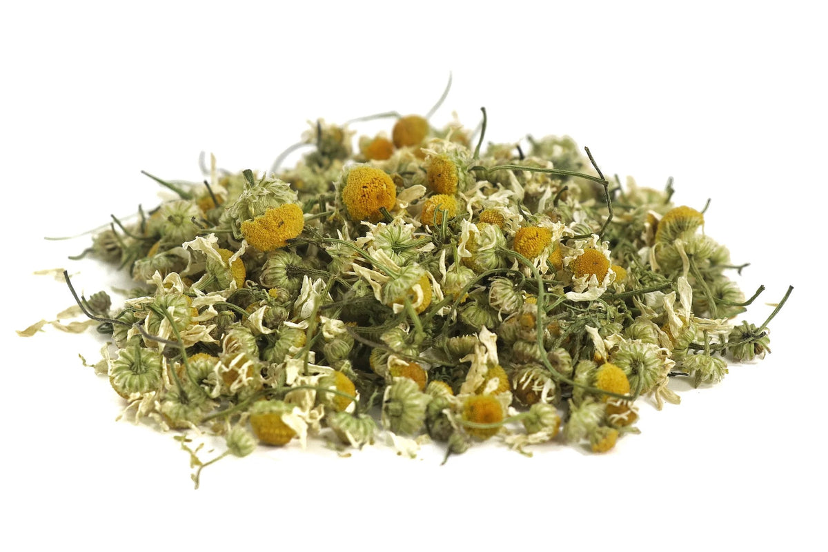 Chamomile- German (Matricaria chamomilla)